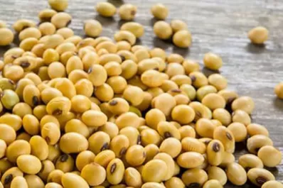 Rosario: la soja arrancó sin cambios, respecto del cierre del viernes