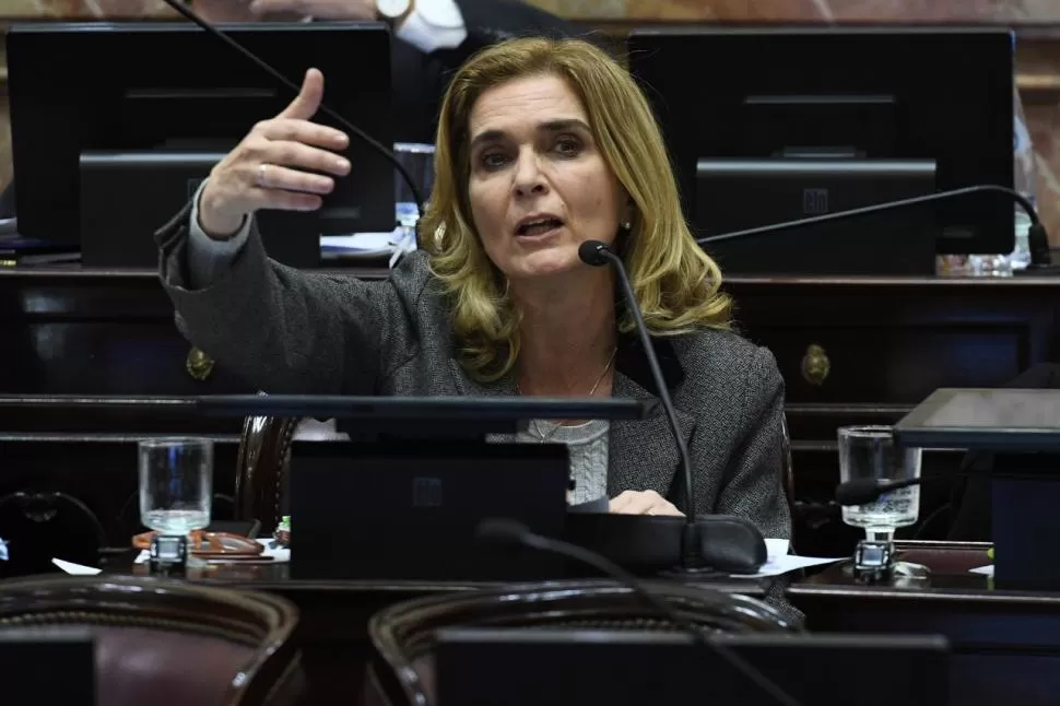 SALIENTE. El próximo 9 de diciembre, Silvia Elías de Pérez participará de su última sesión como senadora nacional. Parlamentario.com