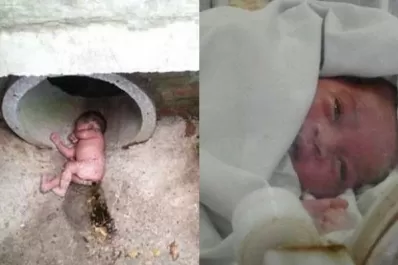 Gatos alertaron sobre una beba recién nacida, abandonada en una alcantarilla