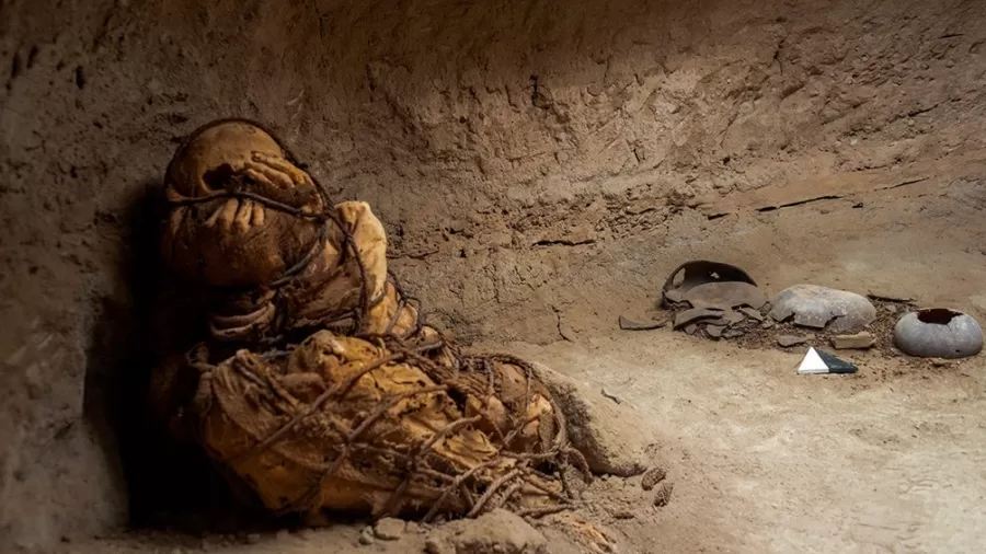 UNA SORPRESA. La momia estaba atada con cuerdas, dentro de una cámara funeraria de tres metros de largo. telam