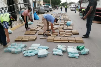 Un camión venía de Jujuy con 750 kilos de hojas de coca