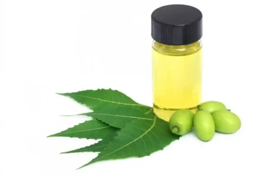 ACEITE DE NEEM. Es un plaguicida de componentes naturales. 