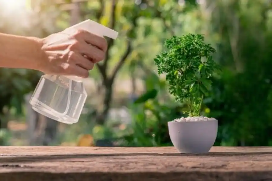 PROTECCIÓN. Con un rociador se aplican los plaguicidas naturales.