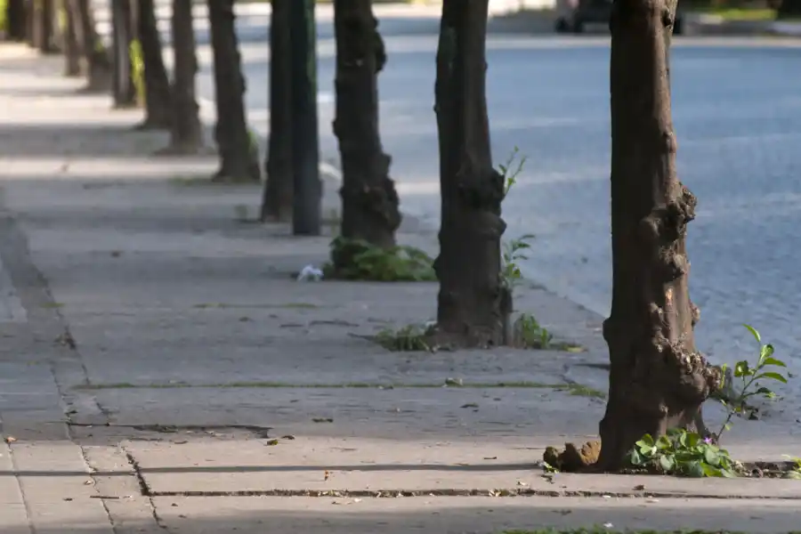 Viernes Santo: todo lo que tenés que saber para organizarte