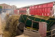 Positivo balance de la zafra en el ingenio El Tabacal