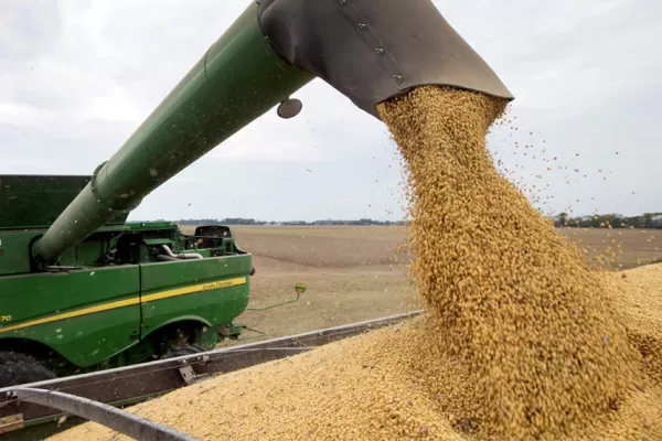 Tendencia en alza: el precio de la soja se acerca a los U$S 600 por tonelada