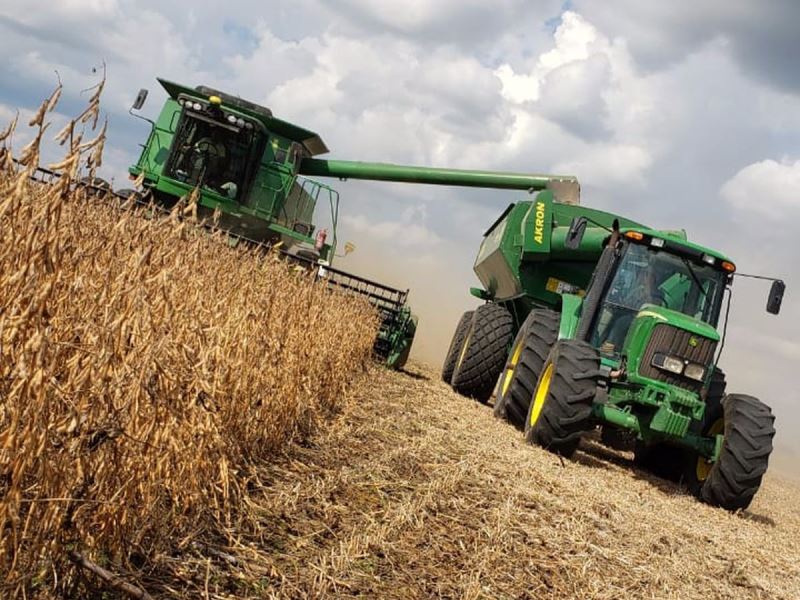 SUBA. Se espera que la cosecha conlleve un aumento en dólares de un 15%, en comparación con la del año pasado. 