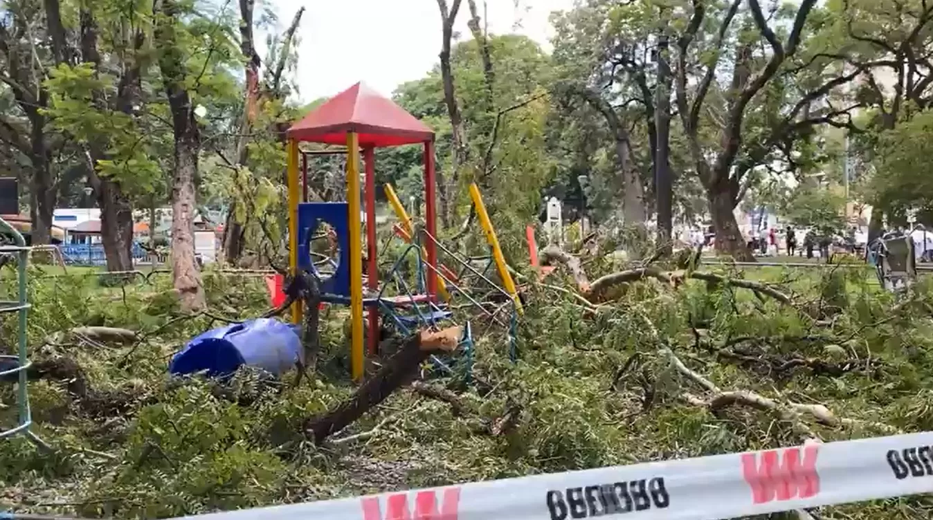 PARQUE AVELLANEDA. Un árbol aplastó los juegos y hubo niños heridos.