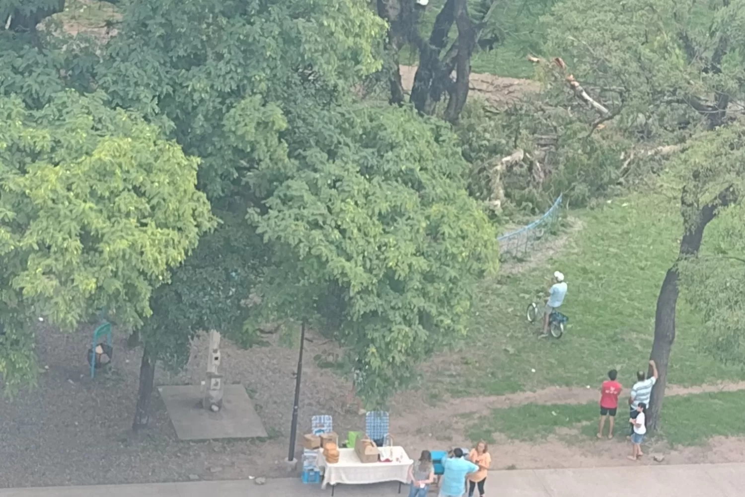 Cayó un árbol sobre los juegos infantiles del parque Avellaneda: hay niños heridos