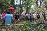 Son cinco los niños que resultaron heridos tras la caída del árbol en el parque Avellaneda