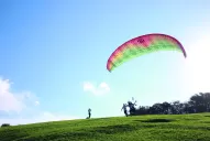 Reforestación: cayeron bombas con semillas sobre San Javier