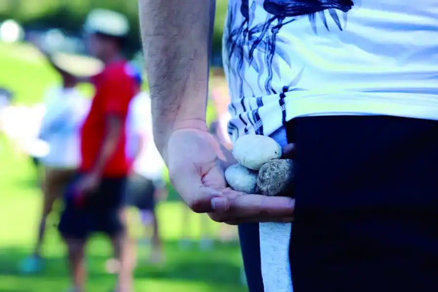 Reforestación: cayeron bombas con semillas sobre San Javier