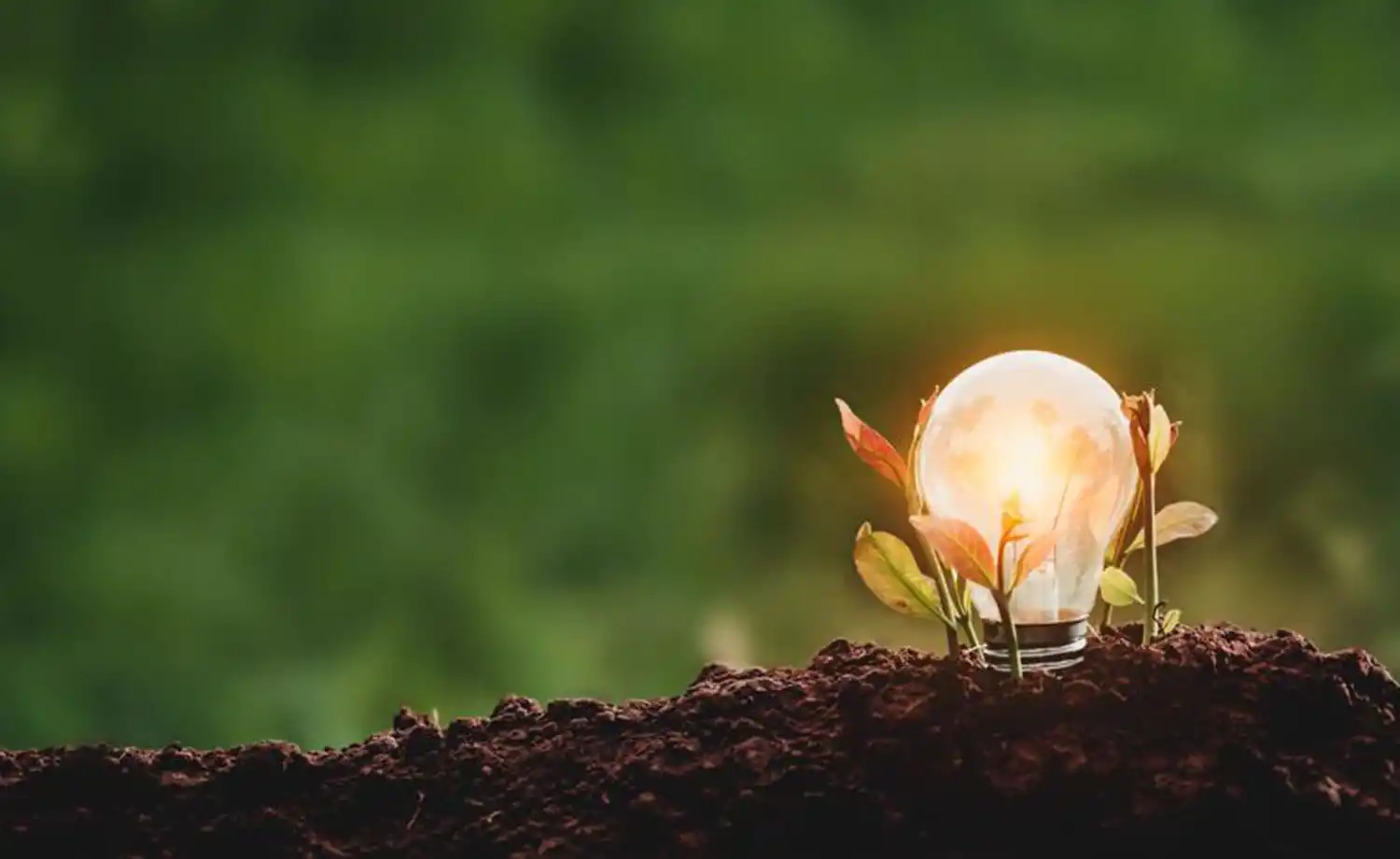 Las tres ventajas de ser una empresa sustentable