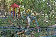 Se complica el estado de salud de la pequeña a la que le cayó un árbol en el Parque Avellaneda