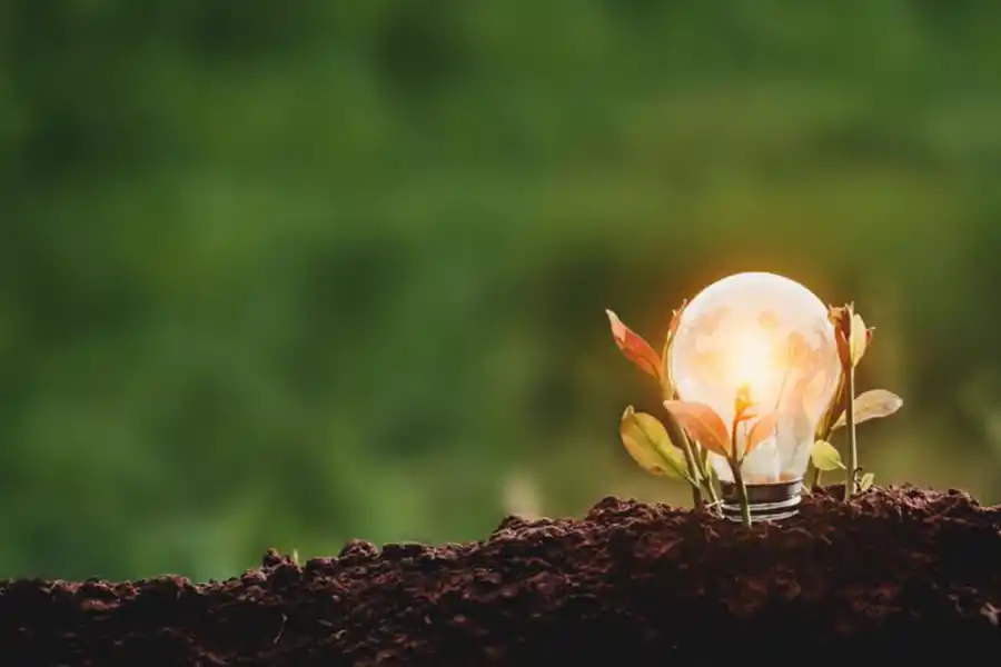 Las tres ventajas de ser una empresa sustentable