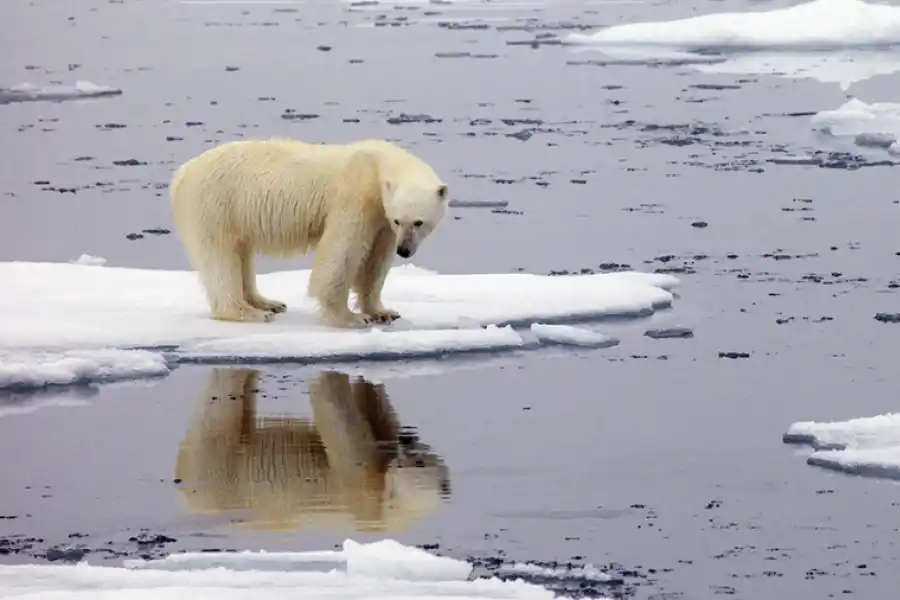 CAMBIO CLIMÁTICO. La ONU confirma el récord de calor en el Ártico y enciende alarmas. ARCHIVO LA GACETA