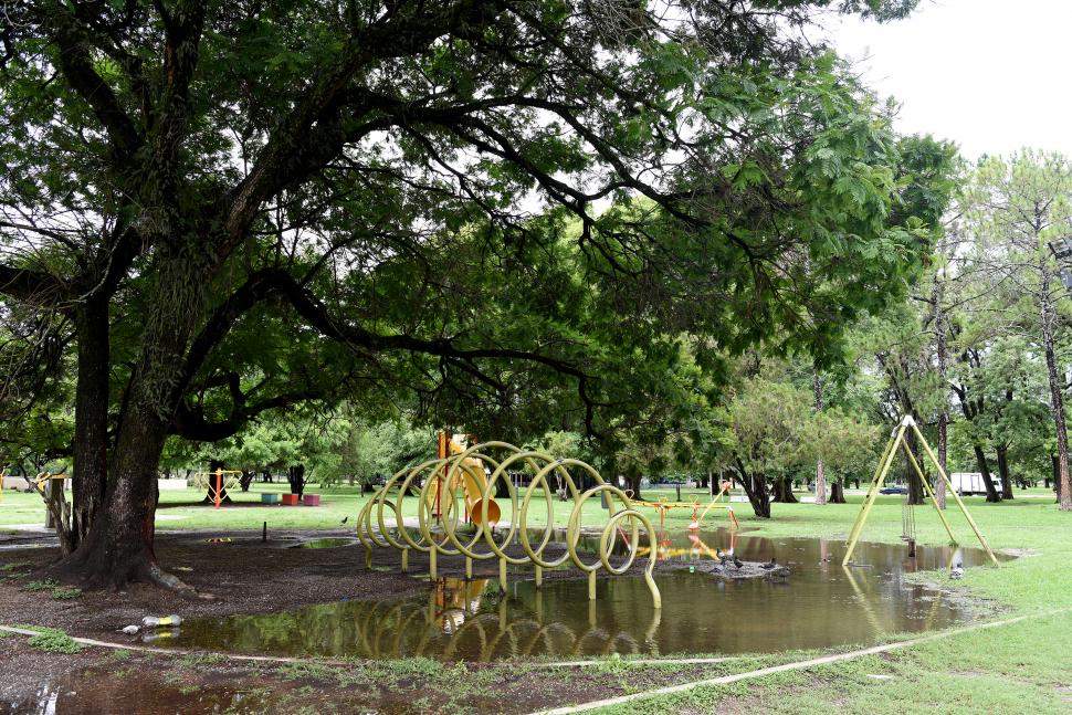 Árboles y juegos van de la mano en las plazas 