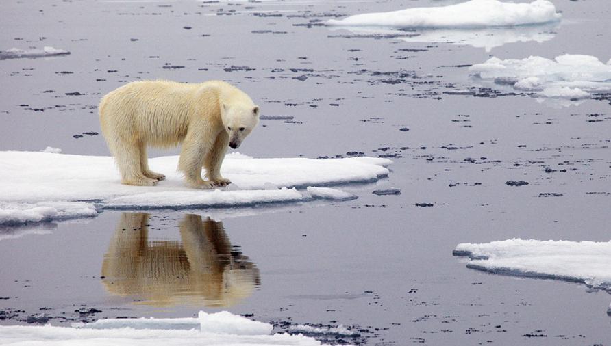 CAMBIO CLIMÁTICO. La ONU confirma el récord de calor en el Ártico y enciende alarmas. ARCHIVO LA GACETA