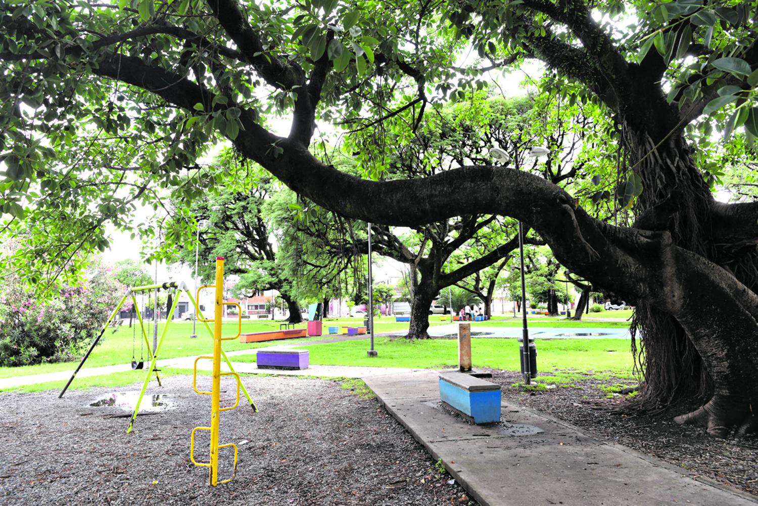 Árboles y juegos van de la mano en las plazas 