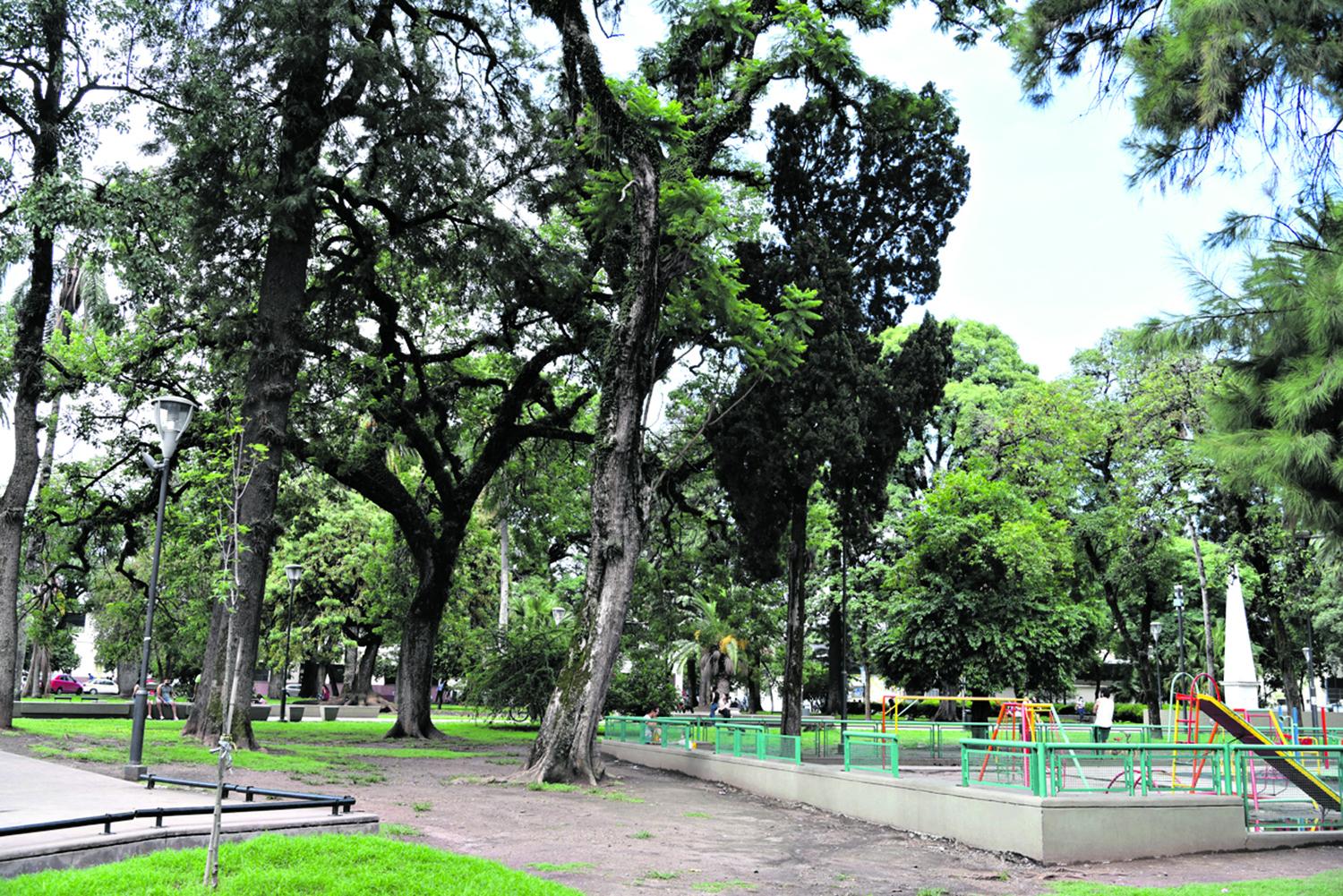 Árboles y juegos van de la mano en las plazas 
