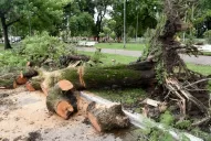 Estado delicado: La niña de ocho años continúa con asistencia respiratoria