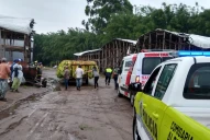 Volaron techos y cayeron árboles durante la tormenta en el sur tucumano