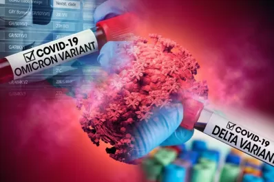 Afirman que el riesgo de hospitalización por ómicron es menor que el de delta