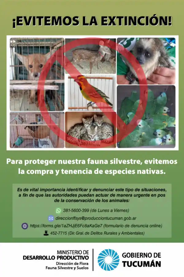 Fauna silvestre: ¿Qué efecto tiene el mascotismo en el ambiente tucumano?