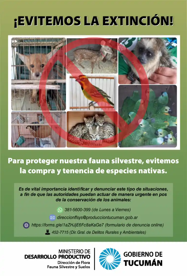Fauna silvestre: ¿Qué efecto tiene el mascotismo en el ambiente tucumano?