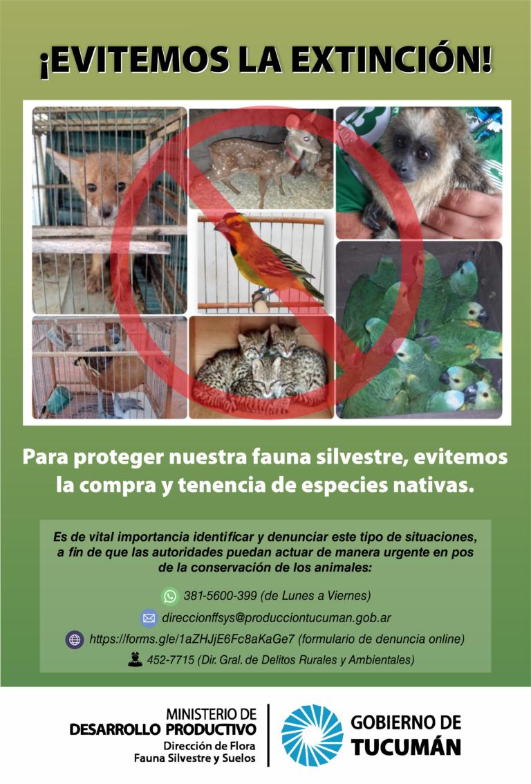 Fauna silvestre: ¿Qué efecto tiene el mascotismo en el ambiente tucumano?