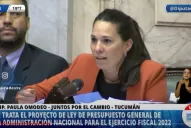 Presupuesto 2022: No vamos a acompañar este proyecto, destacó Omodeo