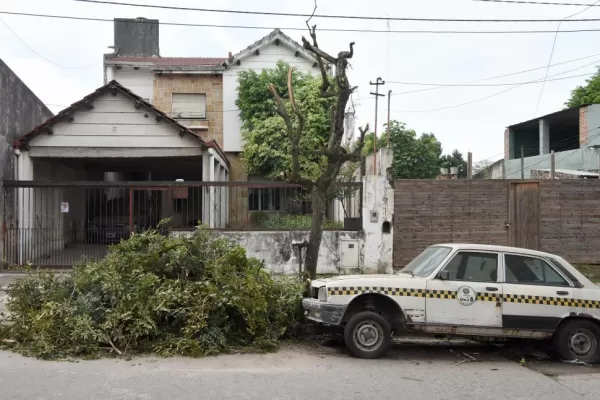 “En el caso de árboles urbanos hay que evitar la poda”