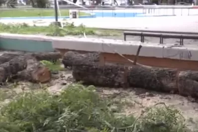 La caída de una rama en Plaza Urquiza alarmó a los vecinos