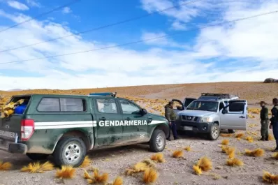 Abandonan 454 kg de cocaína y 254 de marihuana en la Puna