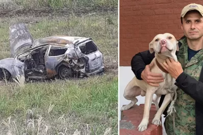 Un tucumano sigue buscando a su perro, que se perdió tras un accidente