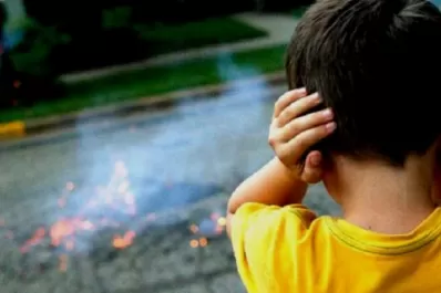 Cartas de lectores V: Pirotecnia y crueldad