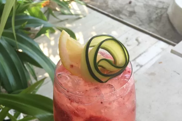 Un gin con sabor a Tucumán