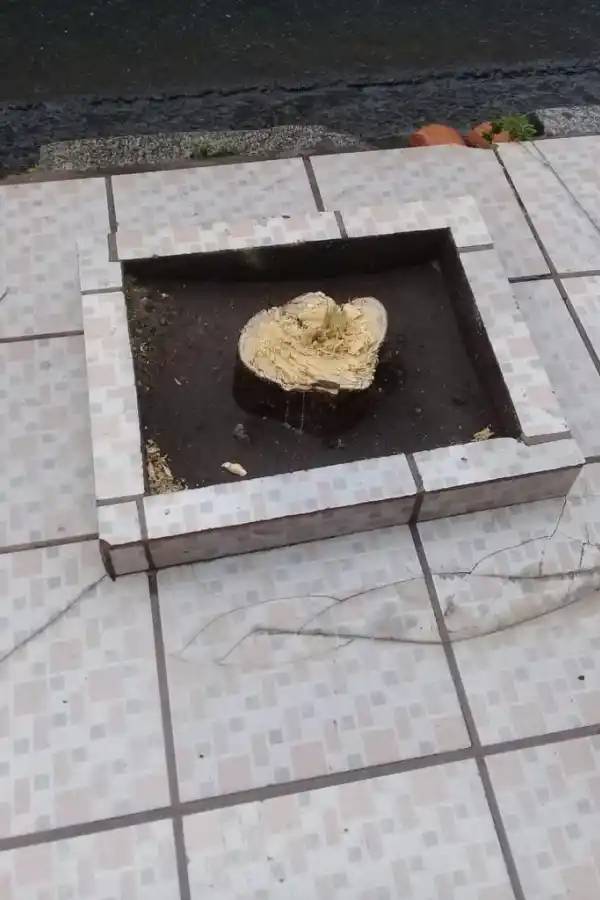 Trampa en la vereda en Chacabuco al 400