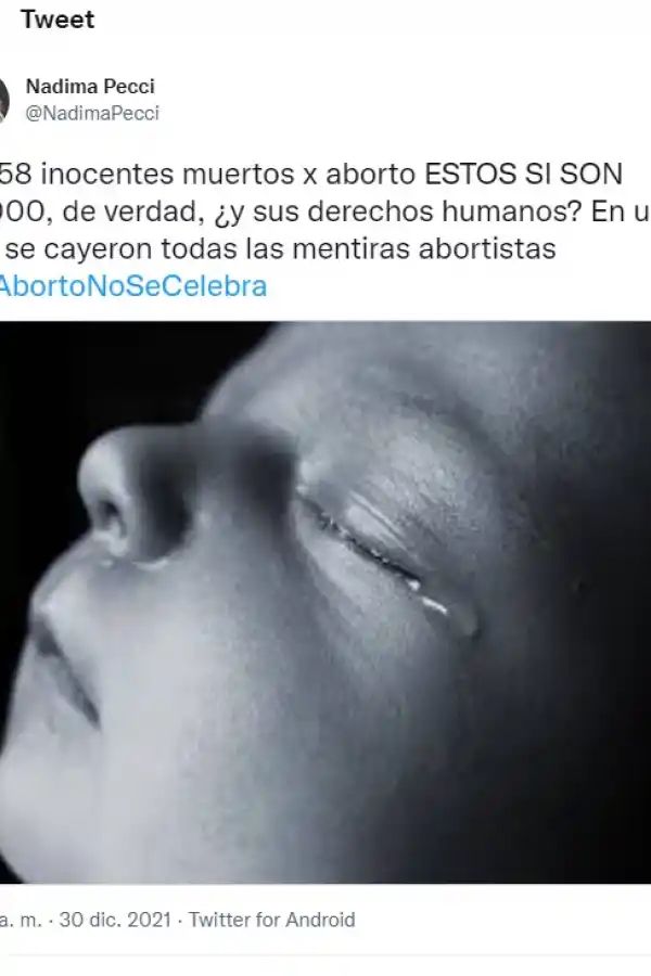 El polémico mensaje de una legisladora tucumana contra el aborto: Estos sí son 30.000