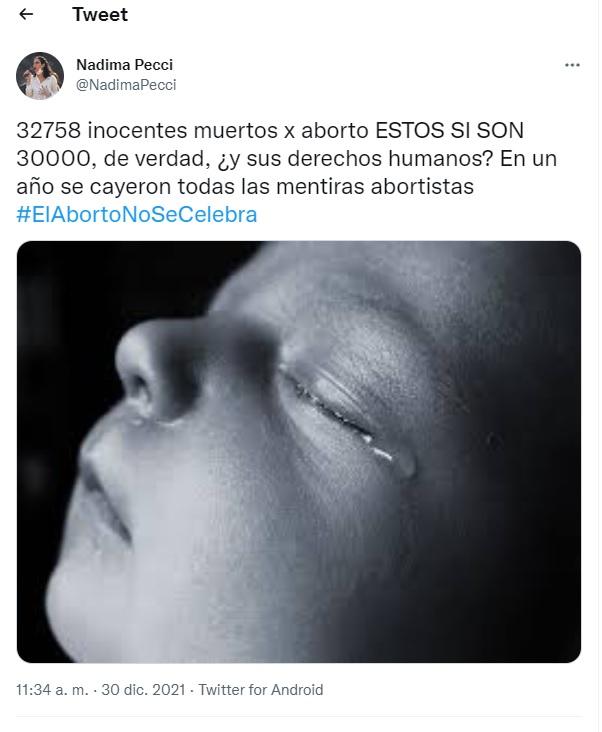 El polémico mensaje de una legisladora tucumana contra el aborto: Estos sí son 30.000
