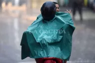 La tormenta trajo alivio, pero también reclamos por árboles caídos, cables y columnas