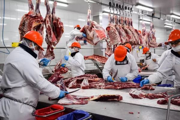 El Gobierno nacional suspendió por 15 días la exportación de carne vacuna