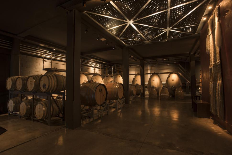Una invitación a conocer la provincia de Mendoza: “ellos ponen el vino”