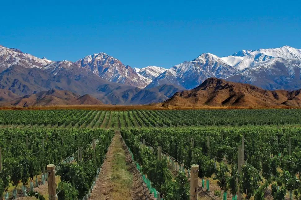 Una invitación a conocer la provincia de Mendoza: “ellos ponen el vino”