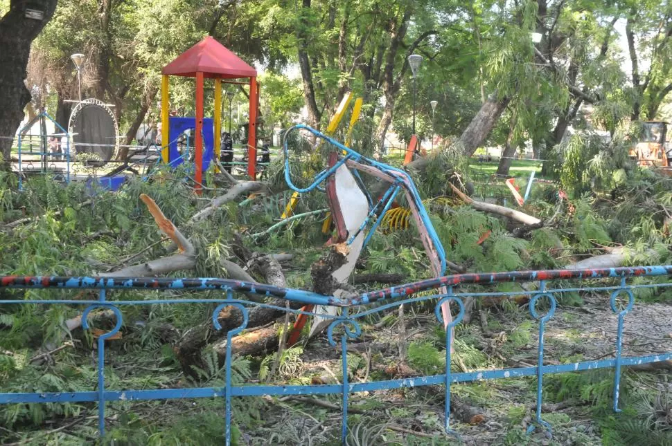  Parque Avellaneda: Lastimó a cinco niños que estaban jugando