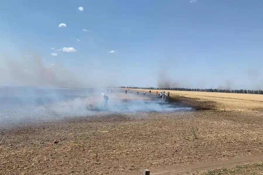 Tras el pedido de Apronor, el Gobierno declaró la emergencia agropecuaria para Tucumán