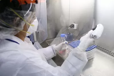 Tucumán sumó este sábado cinco contagios de covid-19