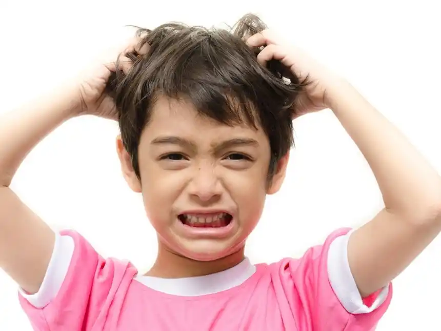 PIOJOS. Hay que tener pediculicidas siempre a mano.