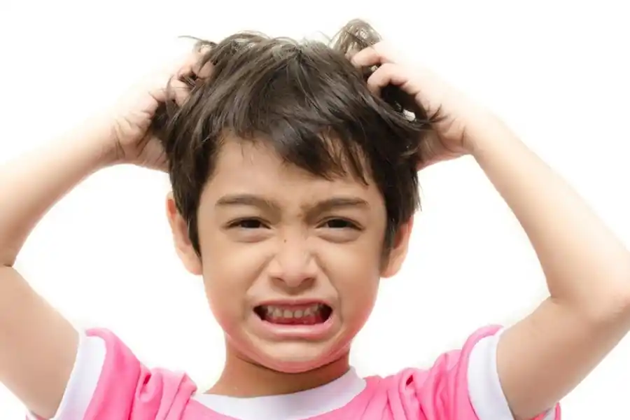 PIOJOS. Hay que tener pediculicidas siempre a mano.