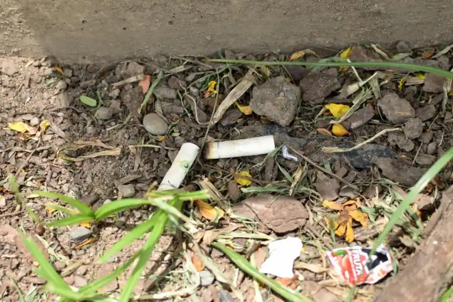 DESAPRENSIÓN. La “propiedad pública” es considerada igual a “tierra de nadie” por algunos transeúntes.